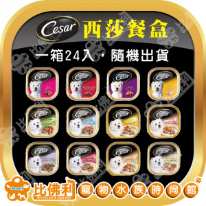Cesar西莎系列餐盒 100g24入 口味隨機混搭