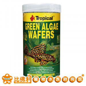 TROPICAL德比克 異型 底棲魚完美全餐