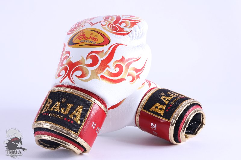 RAJA  ���M  ��C/�s-��/��