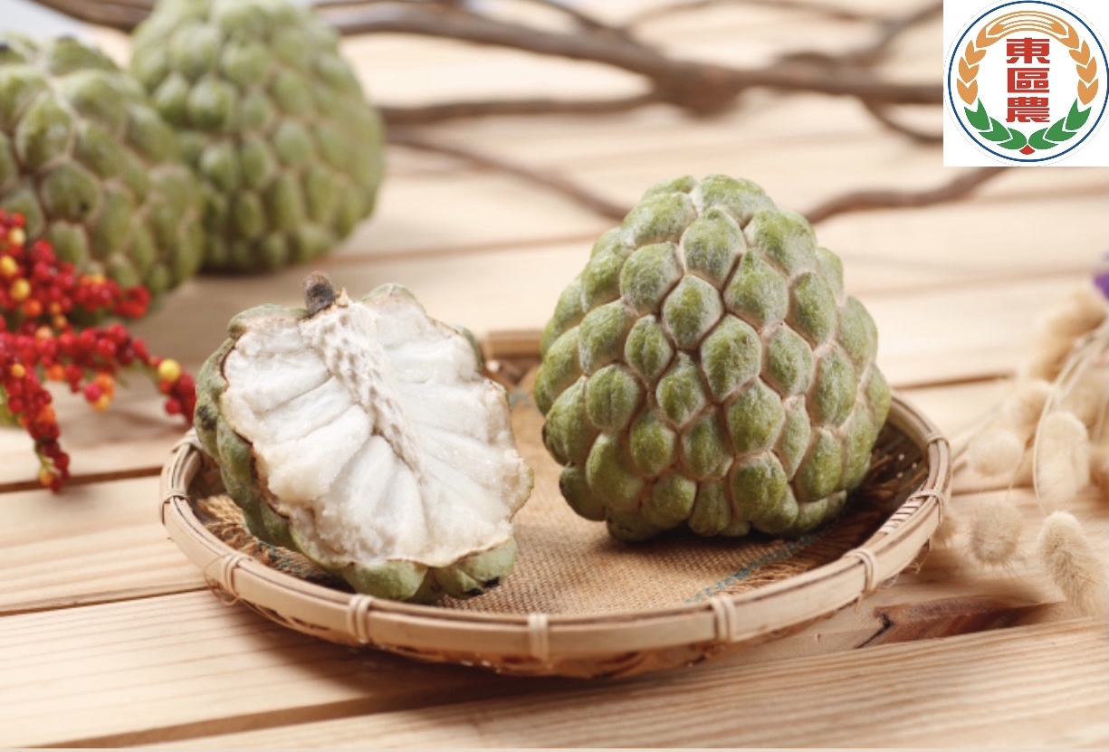 東區農《季節限定》大目釋迦 ★免運★