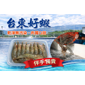 麗島白蝦300g XXL (9-10隻裝)【台東地區農會】