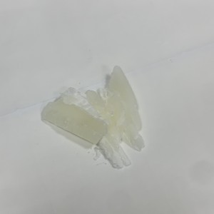 中國 白蘭花花蠟