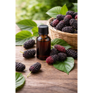 法國 Naturel Basics 桑椹萃取液 (2026/1月新產品)