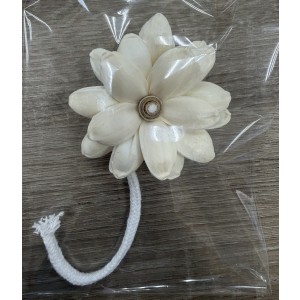 SF015-索拉花 康乃馨 (6cm)