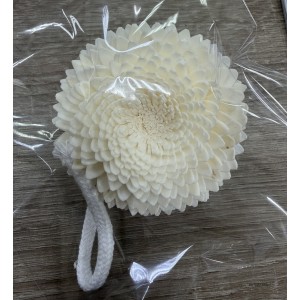 SF019-索拉花 小睡蓮 (4cm)