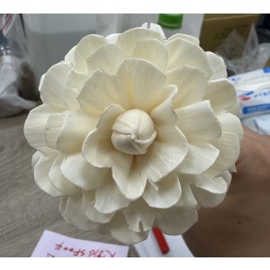 SF004-索拉花 大菊花 (8cm)