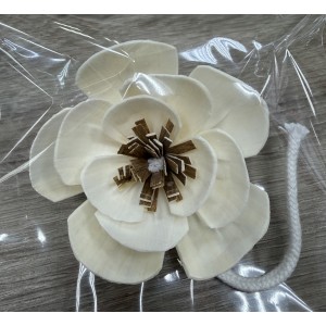 SF005-索拉花 (8cm)