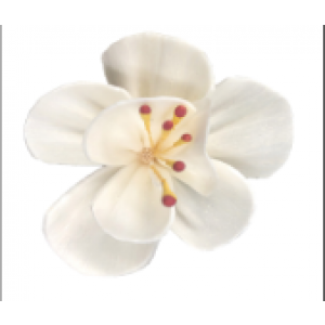 SF007-索拉花 桃花 (4cm)