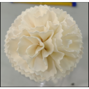 SF002-索拉花 雙層睡蓮 (8cm)