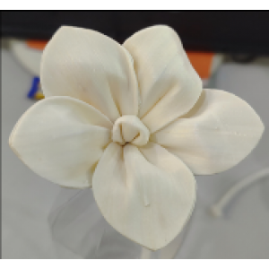 SF010-索拉花 (8cm)