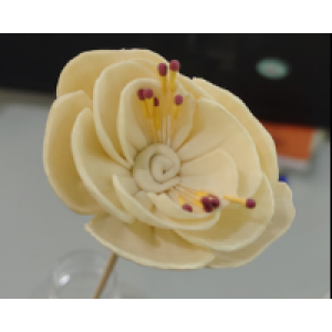 SF016-索拉花 (8cm)