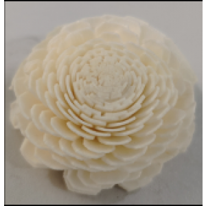 SF003-索拉花 尖角菊 (8cm)