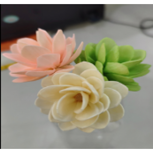 SF005-索拉花 (8cm)