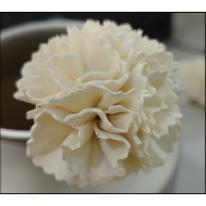 SF015-索拉花 康乃馨 (6cm)