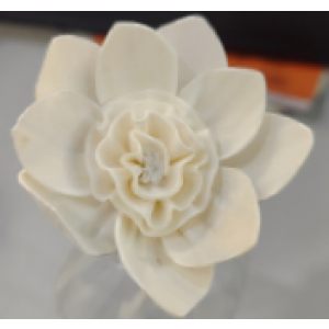 SF009-索拉花 (8cm)