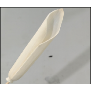 SF011-索拉花 (6cm)