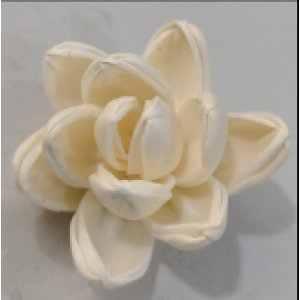 SF019-索拉花 小睡蓮 (4cm)