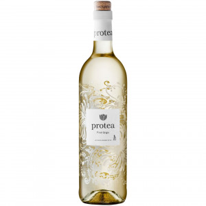 Anthonij Rupert 海神花 灰皮諾 白酒