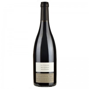 澳洲 莎普敦 & Cambrien莊園 