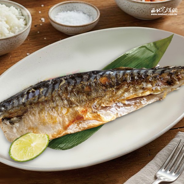 薄鹽鯖魚