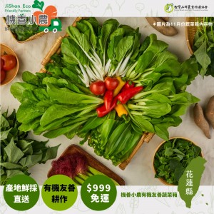 【機善小農_蔬菜箱】雲林縣土香_家庭箱_13包(每週出箱)(有機友善/產地鮮採直送/支持家鄉好農產)