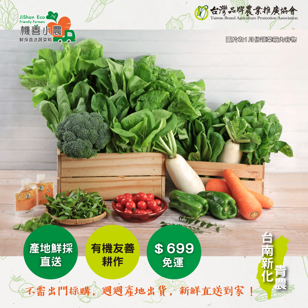 【機善小農_蔬菜箱】南投縣 蔬菜箱家庭號箱12件(每週出箱)(有機友善/產地鮮採直送/支持家鄉好農產)