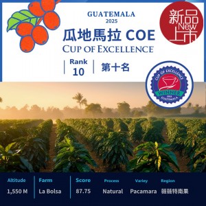 【台糖】2025瓜地馬拉卓越盃競標批次豆LOT10(120g/裝)(9533)