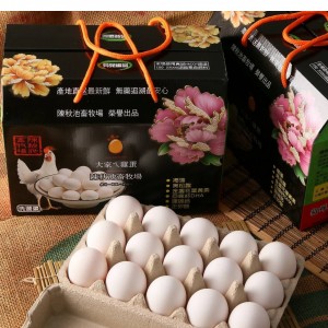 【茗澤好物】冷凍燻茶鵝(切盤)400g/包×4