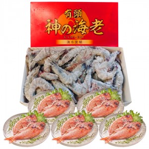 【天馳】生食級-日本MSC鮪魚丁500g(1包)+無卵熟凍帆立貝L-1KG(1包)