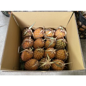 酪梨（幸福果）(10斤/箱)