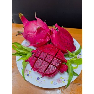 【博士營養科技】蔗青茶好喝【10包/組】