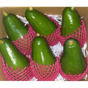 【博士營養科技】台灣高山青茶&台灣鹿野紅烏龍茶【各5包/組】