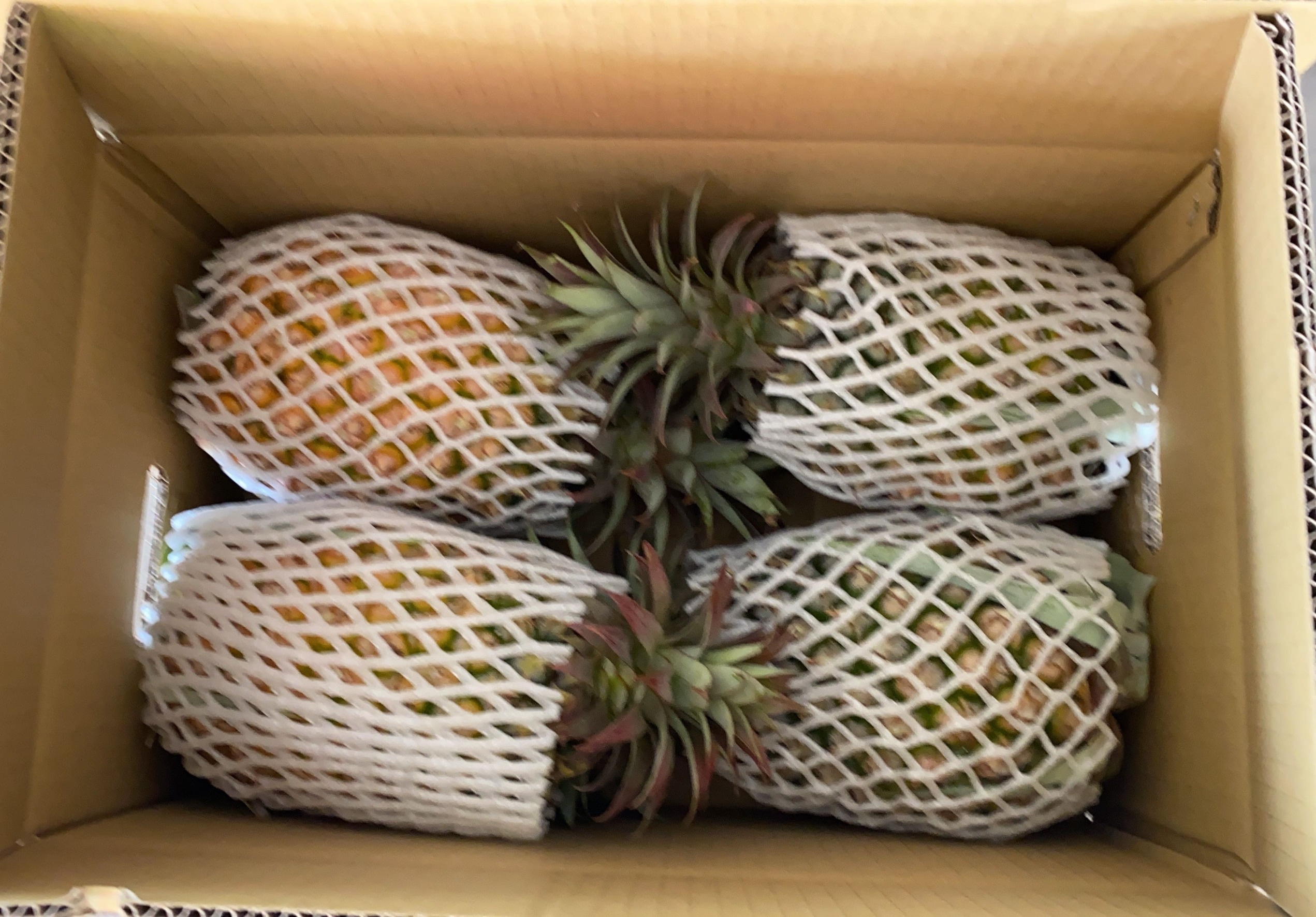 【仁愛農園】草生金鑽鳳梨(5.5公斤)